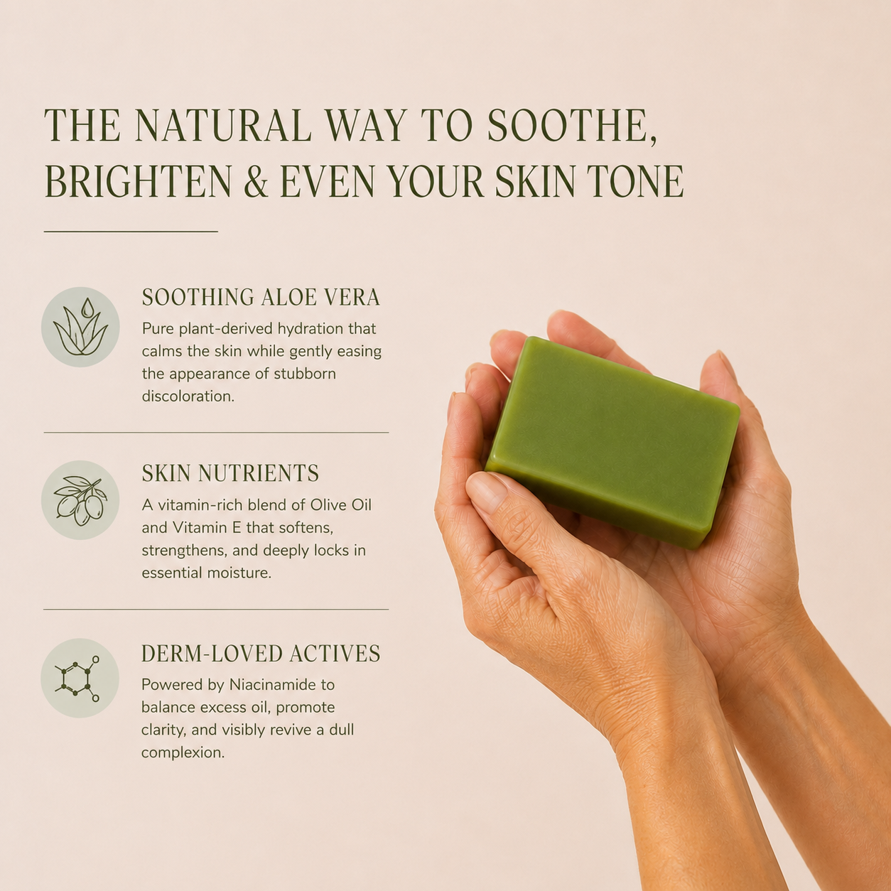 Aloe Bar